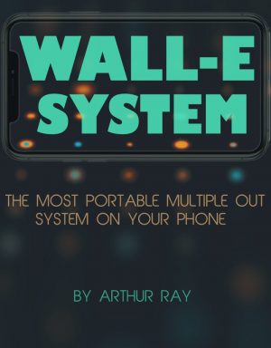 Arthur Ray – Wall-E System