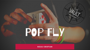Bizau Cristian – The Vault – Pop Fly