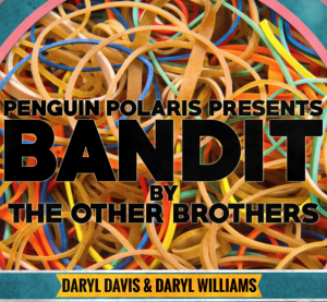 Darryl Davis & Daryl Williams (a.k.a. The Other Brothers) – BANDIT (Instant Download)