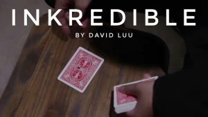David Luu – INKredible (Instant Download)