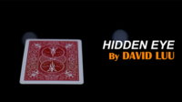 Hidden Eye by David Luu (Instant Download)