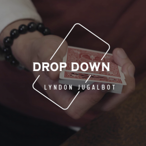 Lyndon Jugalbot – Drop Down presented by Skymember