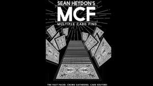 Sean Heydon – MCF (Multiple Card Find) – original disc
