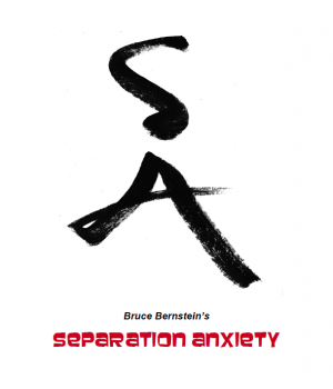 Separation Anxiety by Bruce Bernstein (PDF+Video Download)