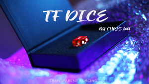 Chris Wu – TF Dice (Dice not included, but DIYable)