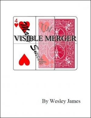 Wesley James – Visible Merger (official PDF)