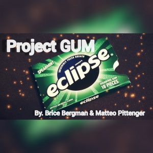 Brice Bergman & Matteo Pittenger – Project Gum (Everything included with highest quality)