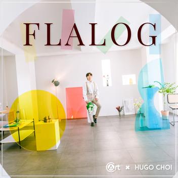 Hugo Choi – FLALOG – DIY edition by c_art – erdnasemagicstore