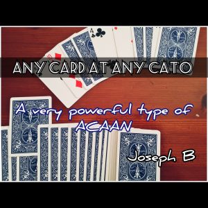 Joseph B. – ANY CARD AT ANY CATO (Instant Download)