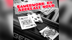 Abdelali Nour – Sawebwork (all videos included) Access Instantly!