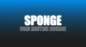 Craig Petty – Sponge
