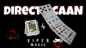 Viper Magic – DirectCAAN Access Instantly!