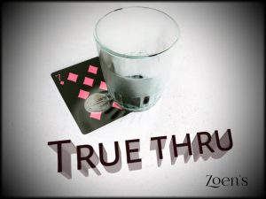 Zoen – True Thru Access Instantly!