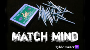 Tybbe Master – Match Mind (720p video) Access Instantly!