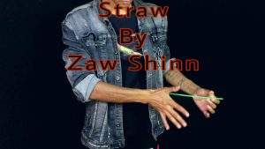 Zaw Shinn – Straw Access Instantly!