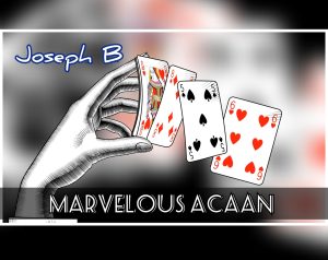 Joseph B – MARVELOUS ACAAN Access Instantly!