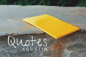 Agustin – Quotes Access Instantly!
