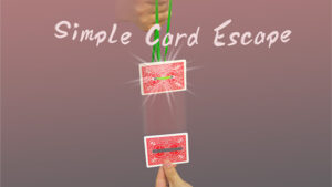 Dingding – Simple Card Escape (1080p video) Access Instantly!