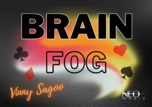 Vinny Sagoo (Neo Magic) – Brain Fog Access Instantly!