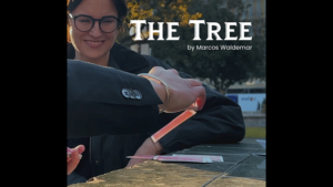 Marcos Waldemar and Invisible Compass – THE TREE Access Instantly!