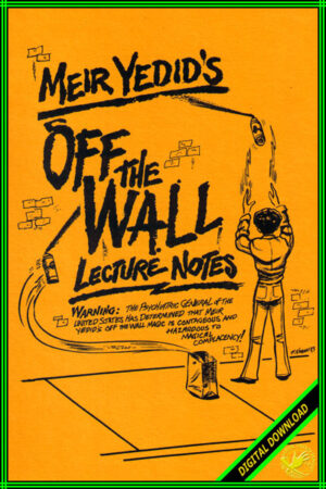 MEIR YEDID – OFF THE WALL LECTURE NOTES Access Instantly!